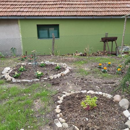 Stancic 019 Daire Zaječar Dış mekan fotoğraf