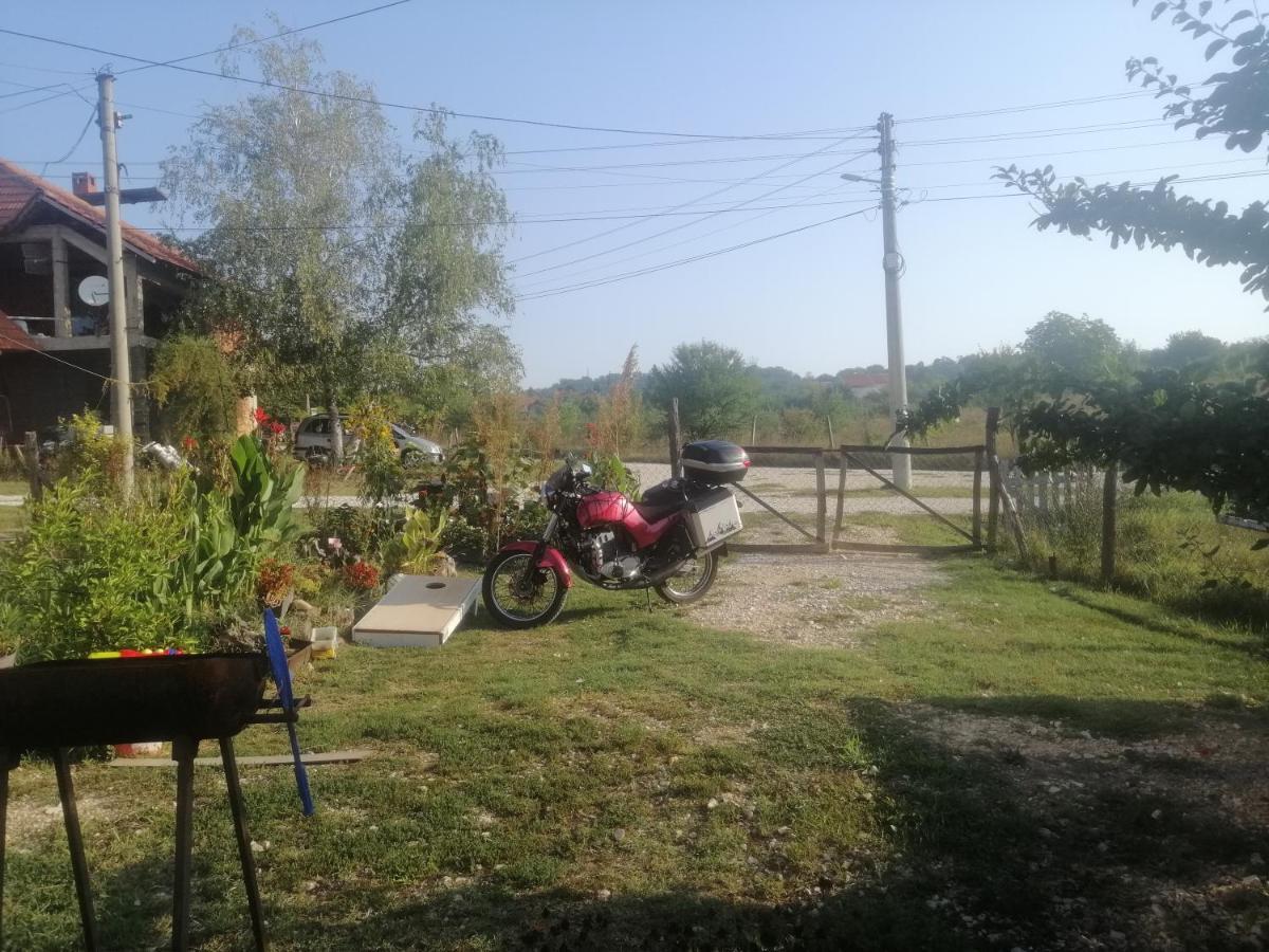 Stancic 019 Daire Zaječar Dış mekan fotoğraf