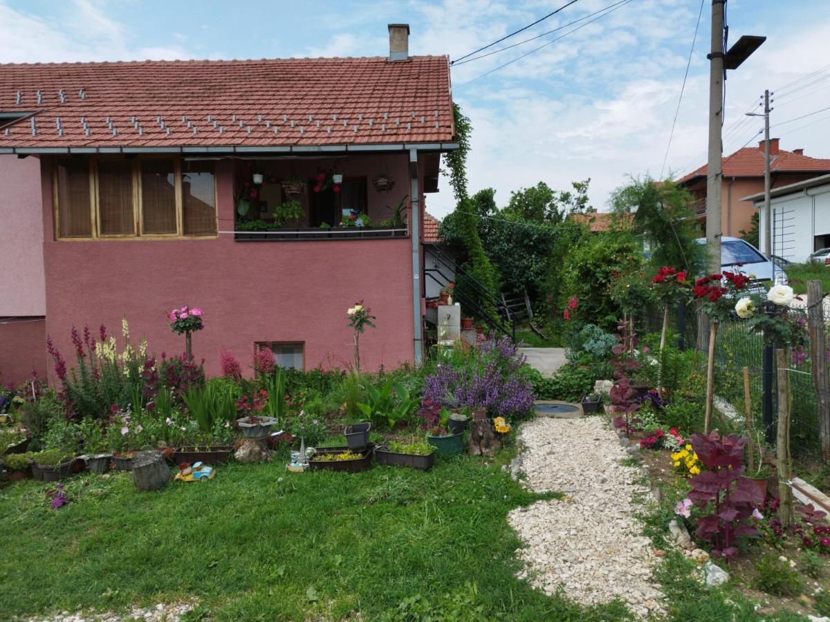 Stancic 019 Daire Zaječar Dış mekan fotoğraf