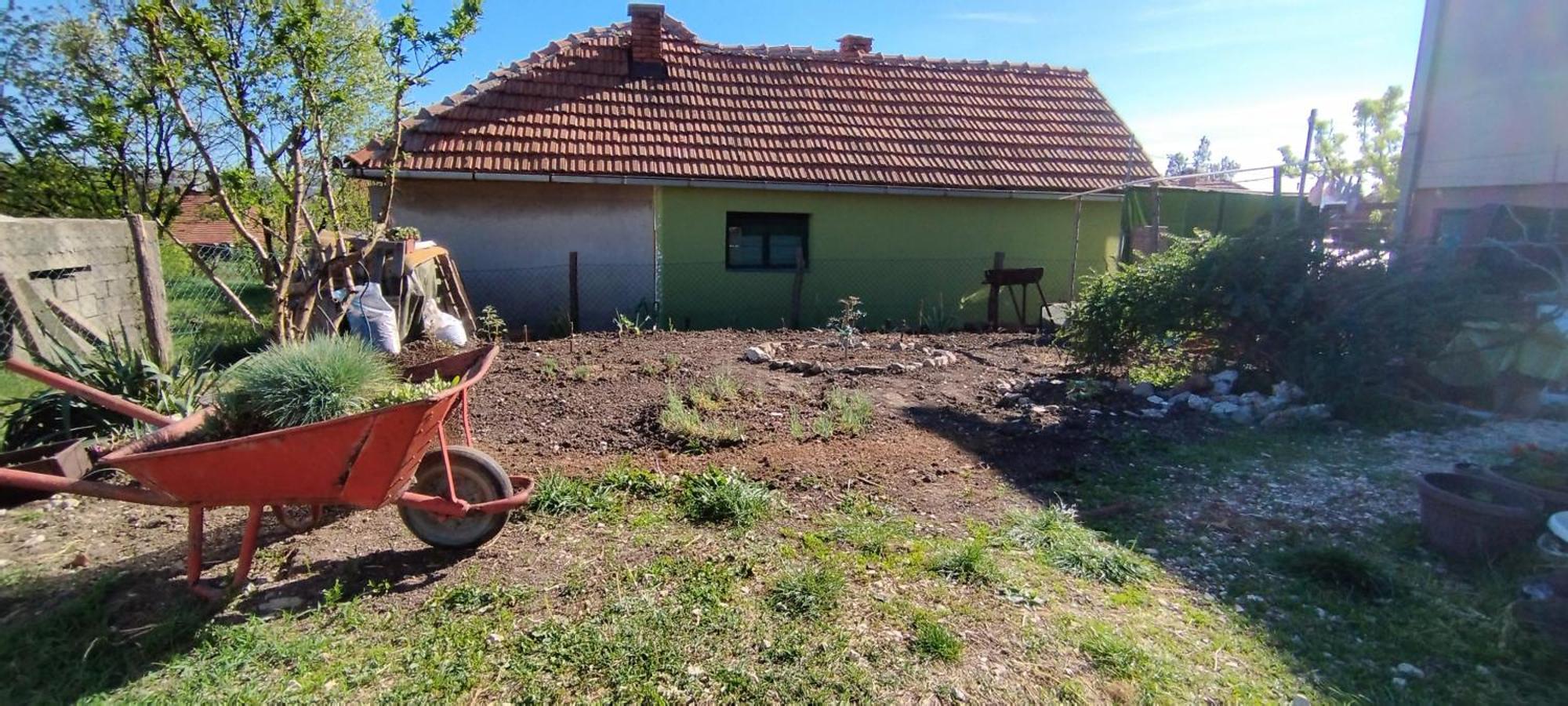 Stancic 019 Daire Zaječar Dış mekan fotoğraf