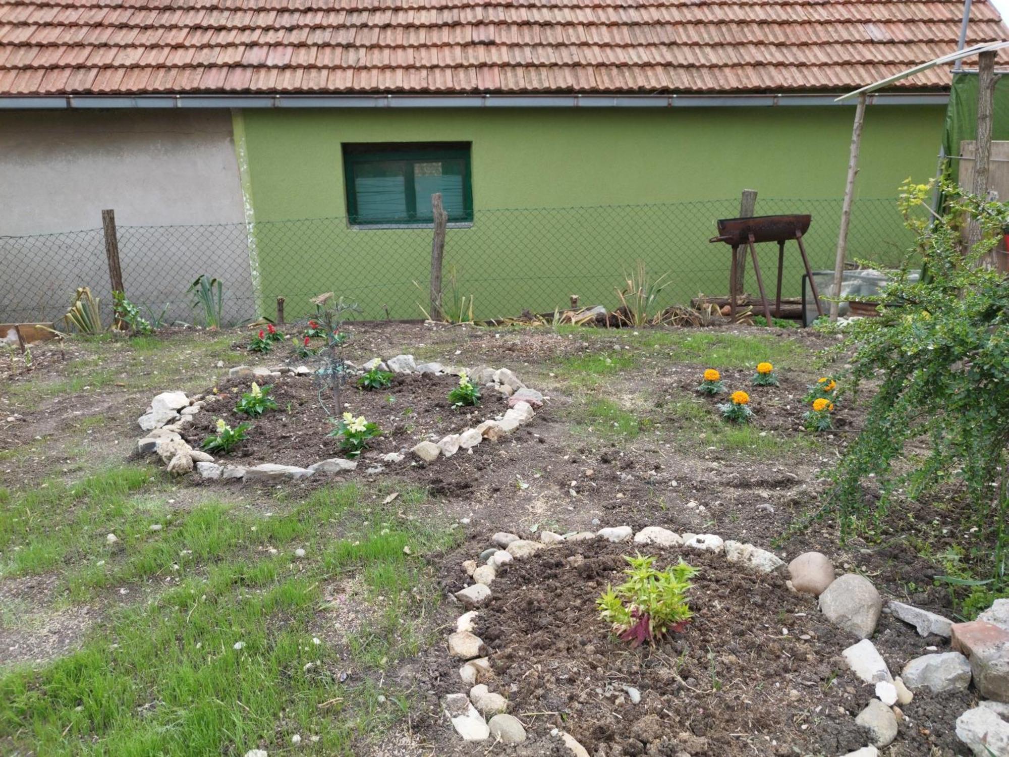 Stancic 019 Daire Zaječar Dış mekan fotoğraf